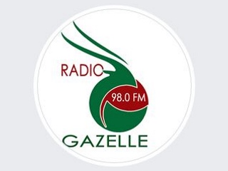 Slideshow Capture DAB Radio Gazelle