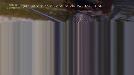 Capture Image CBeebies BBCA-PSB1-DIVIS