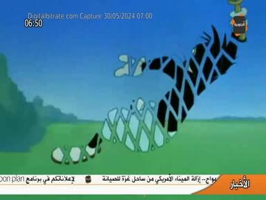 Capture Image Al JANOUBIA TV 11658 V
