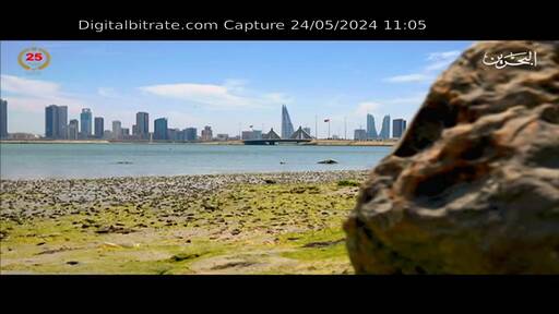 Capture Image Bahrain TV 12728 H