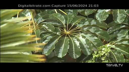 Capture Image TRAVEL TV CH44-MONTE-PORO