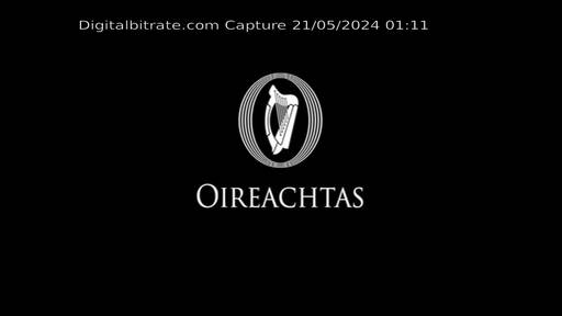 Capture Image Tithe an Oireachtais MUX-1