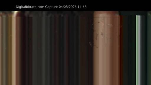 Capture Image Polecamy C025