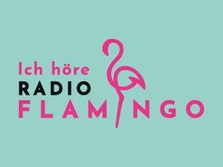 Slideshow Capture DAB Radio Flamingo