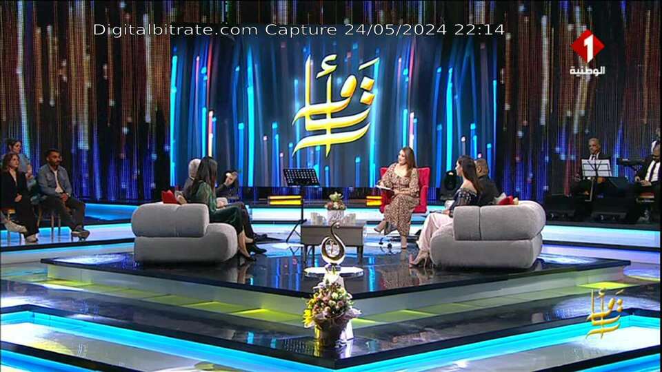 Capture Image Télévision Tunisienne FRF