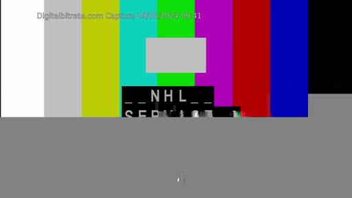 Capture Image NHL Service-2 10763 V