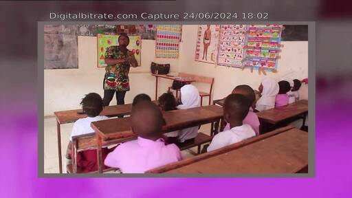 Capture Image THE GAMBIA - PTV 12604 H