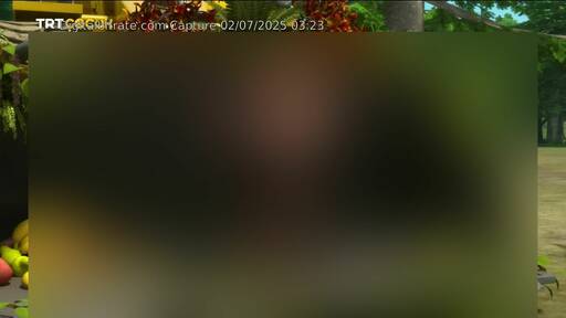 Capture Image TRT COCUK HD 11054 V