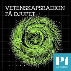Slideshow Capture DAB P1 SverigesRadio