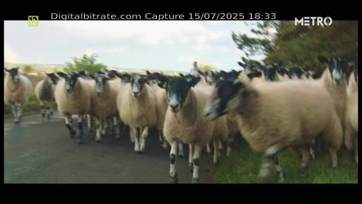 Capture Image Metro MUX8